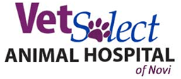 Link to Homepage of VetSelect Animal Hospital of Novi