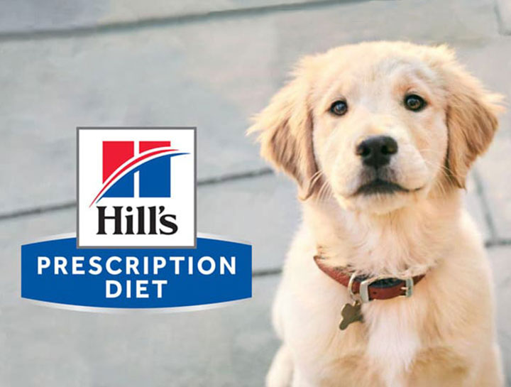 2022 Hill's Prescription diet Changes.